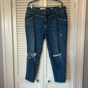 Anthropologie Pilcro jeans v-stitch 16W plus distressed